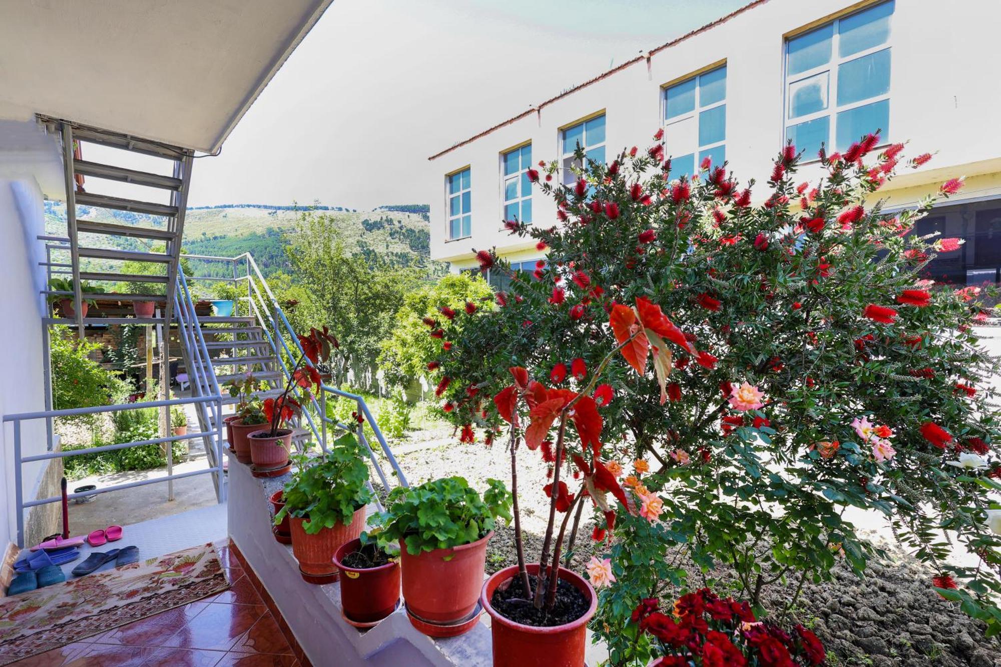 فيلا Samuela Cozy Retreat بيرات المظهر الخارجي الصورة
